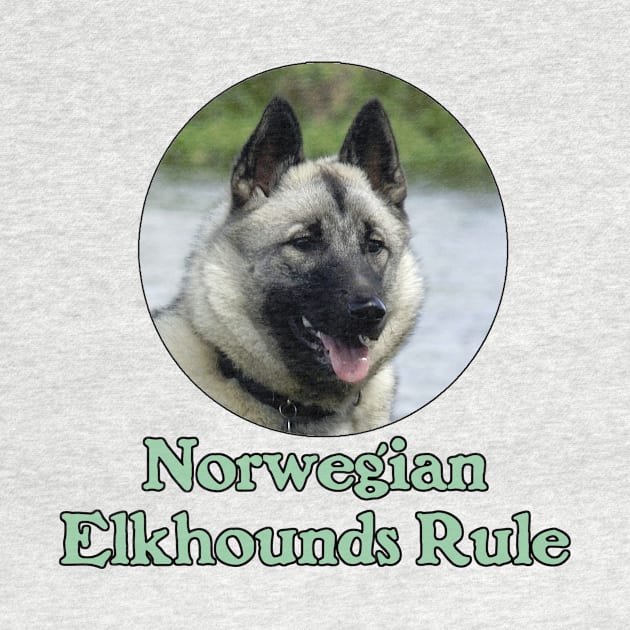 Norwegian Elkhounds Rule by Naves